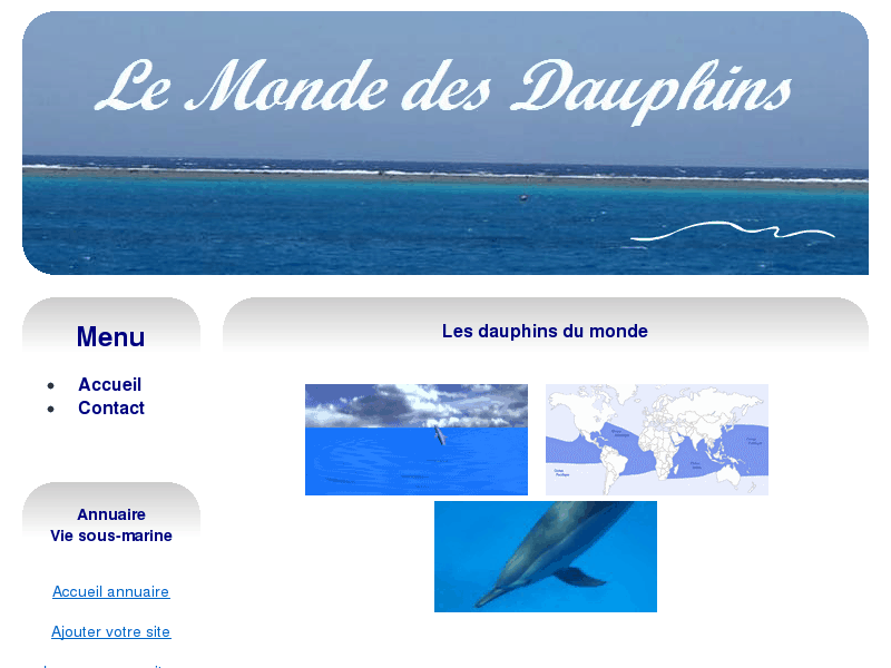 Le monde des dauphins